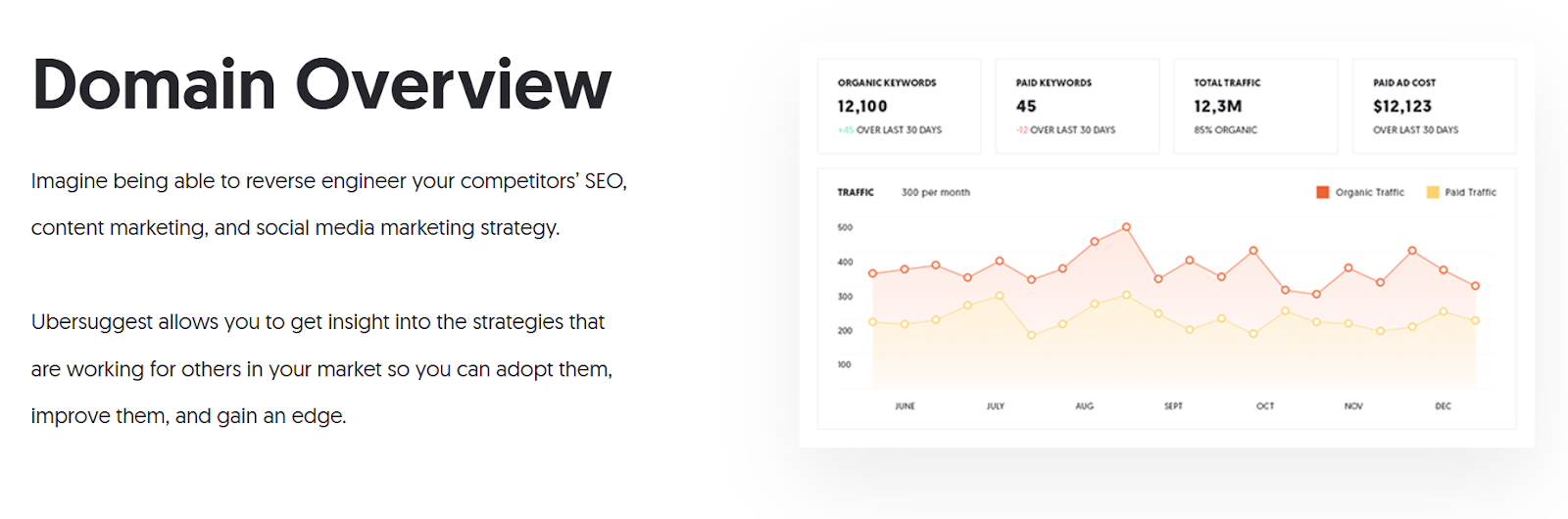 Neil Patel on domain overview 