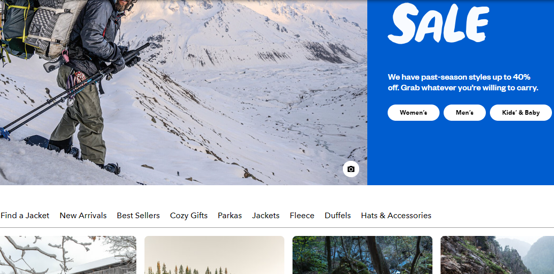 Patagonia Website