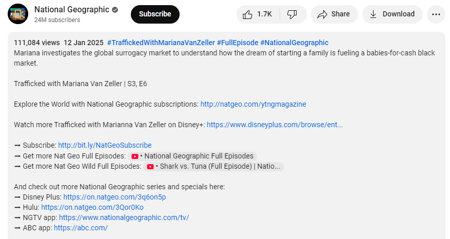 The Best Strategies to Leverage YouTube Backlinks for SEO Success